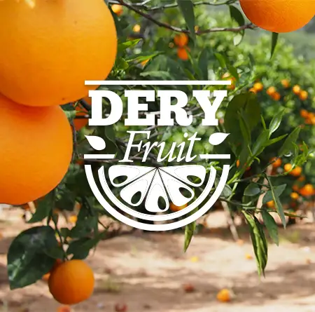 Dery Fruits | الديري للفواكه