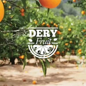 Dery_Fruits-الديري-للخضار-والفواكه