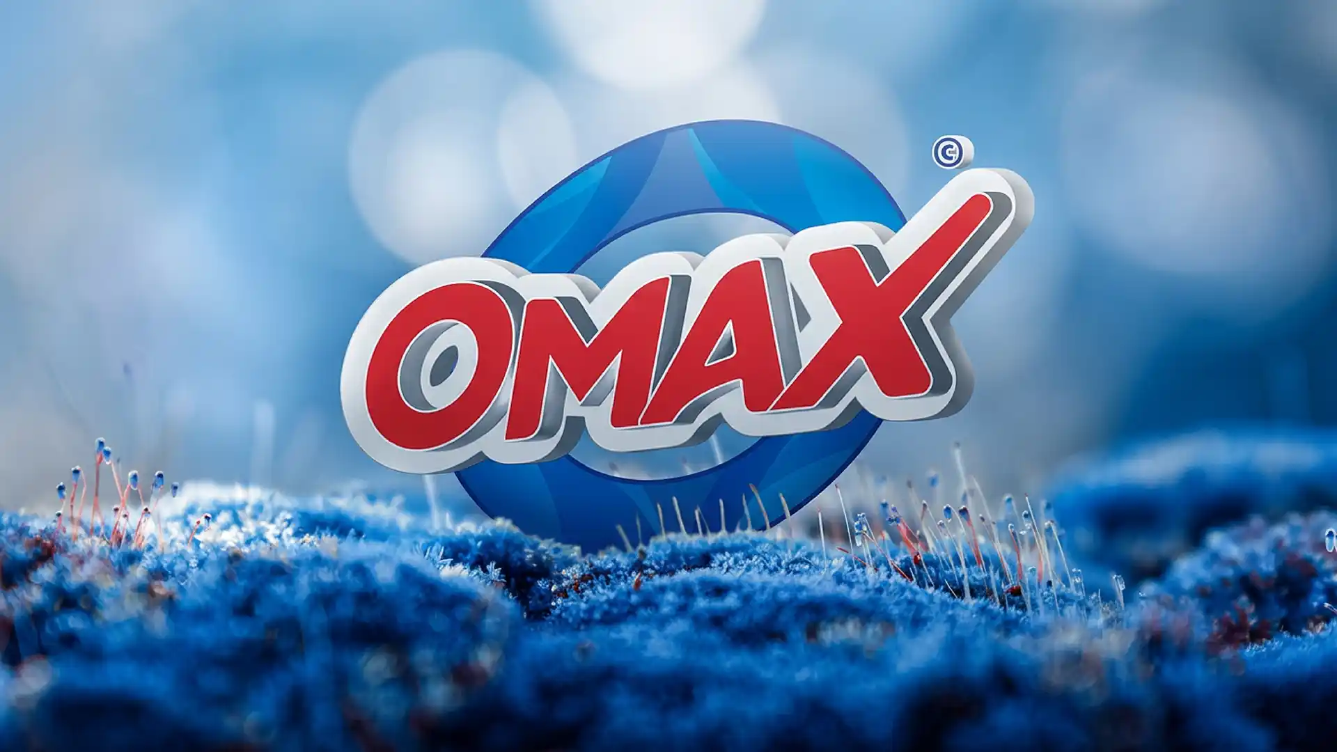 خاتمة مشروع Omax - Omax Project Final