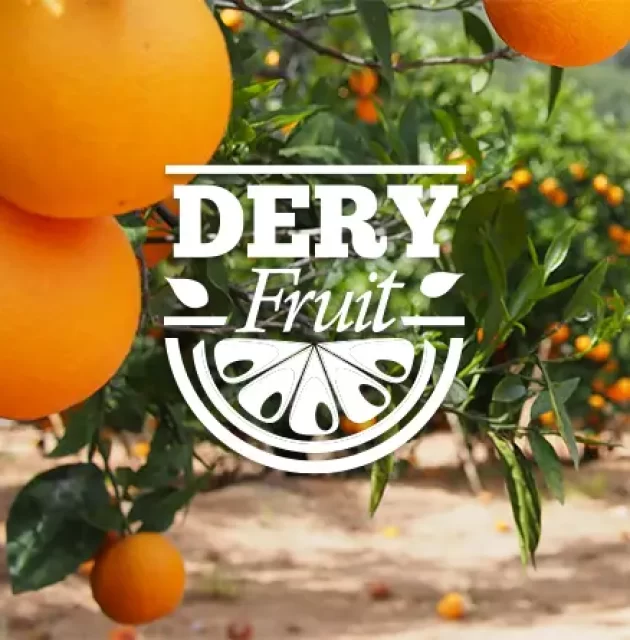 Dery Fruits | الديري للفواكه