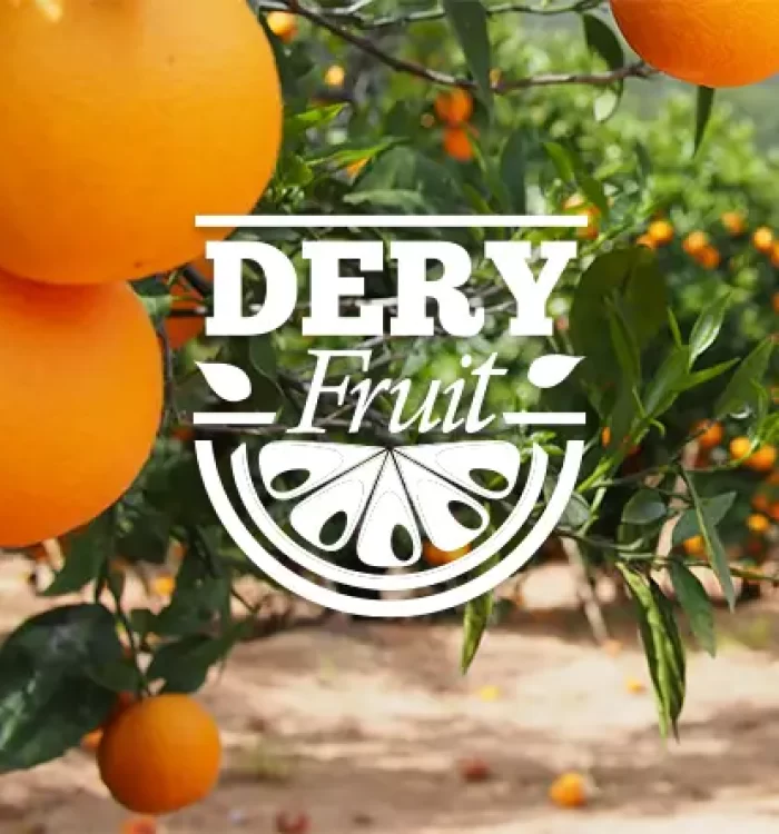 Dery Fruits | الديري للفواكه