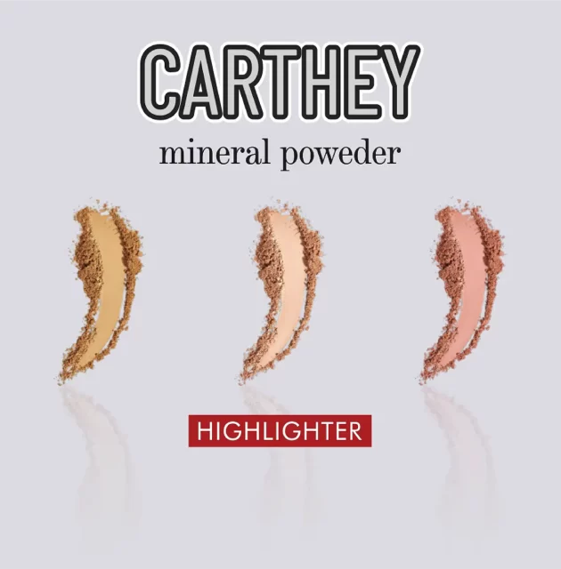 Garthey Highlighter | جارثي هايلايتر